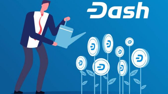 Dash coins